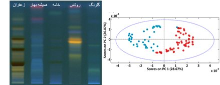 پارس سنجش نوآور شریف