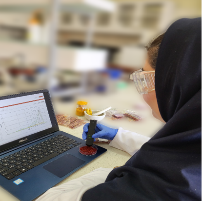 پارس سنجش نوآور شریف